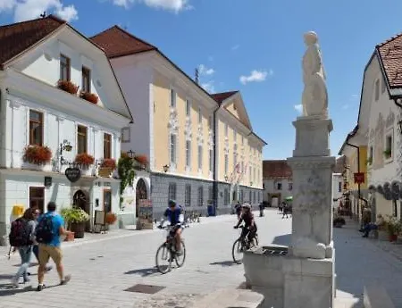 Spacious Family Near Bled - Modern & Cozy * Radovljica